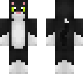 Tuxedo Cat